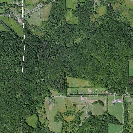 Caller reports animal attack noises near state forest