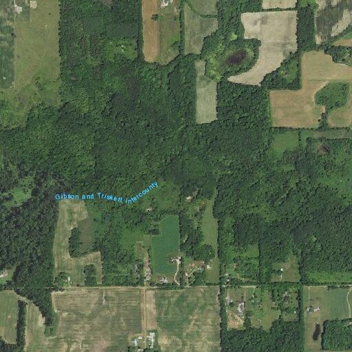 83-year-old man fallen near Love Highway