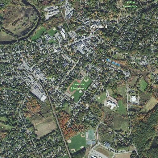 Elderly female with altered mental status near Fielding Street