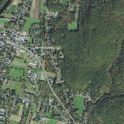 73-year-old woman fallen with facial injuries