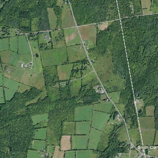 Car hits deer on County Route 351 roadside