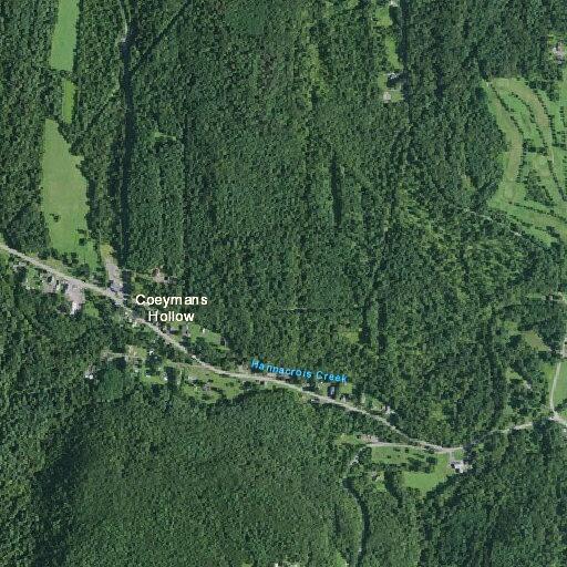 78-year-old man falls near Coeymans Hollow