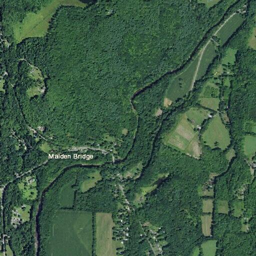 Deceased deer reported on roadside in Chatham