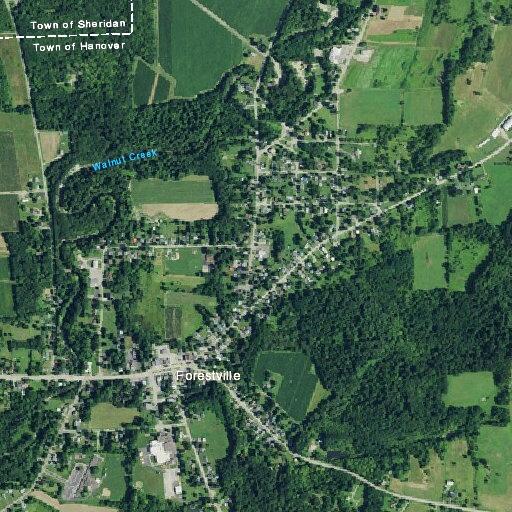 Intoxicated woman semi-conscious at Pearl Street home