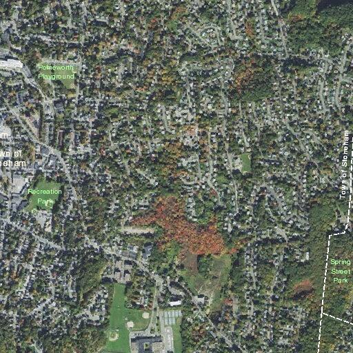 75-year-old woman collapses after diarrhea at home