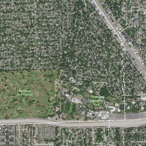 80-year-old man with severe abdominal pain in Royal Oak