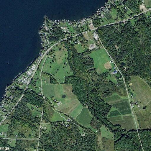 Small bonfire reported near tree line in Wayne
