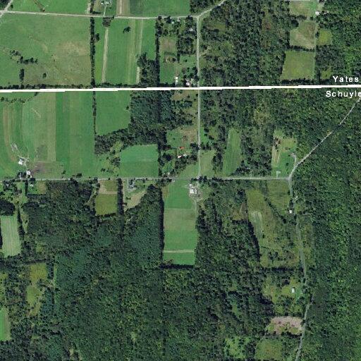 Male with self-inflicted cuts found in camper