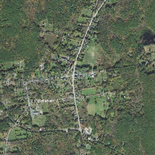 Male patient nauseous, dizzy, collapsed twice in Petersham