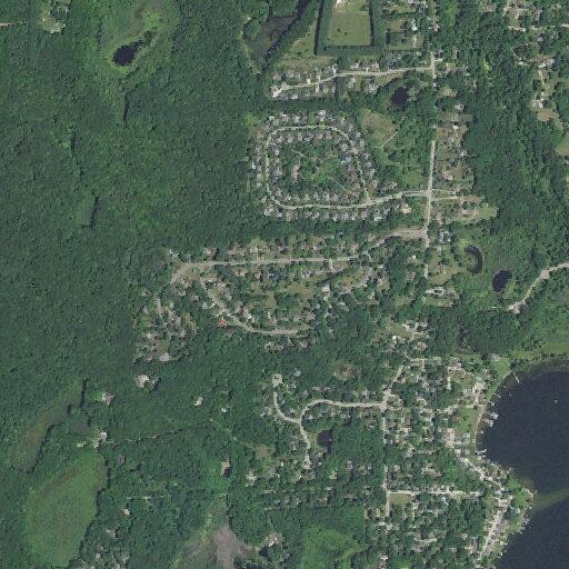 Ongoing dispute over neighbor’s dog on Cowell Road