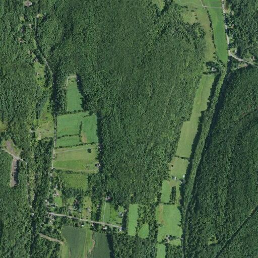 34-year-old woman dizzy and breathing difficulty at Coons Rd