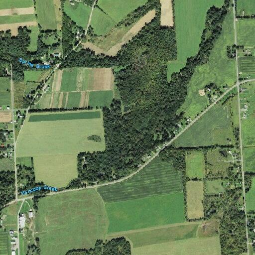Man requires lift assist near Trumansburg
