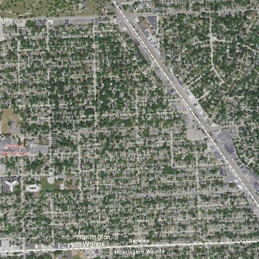 Elderly woman vomiting and dizzy at West 11 Mile