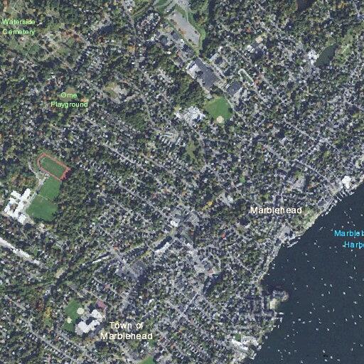 Basement burglar alarm activated on Hawk Street