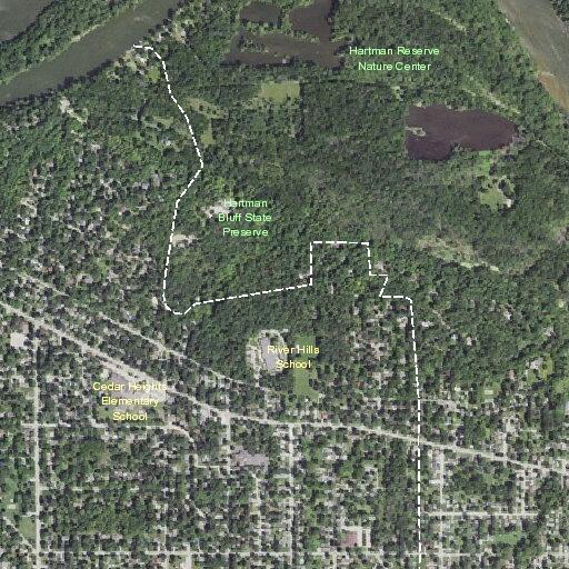 Male with diabetes falls on street in Cedar Falls