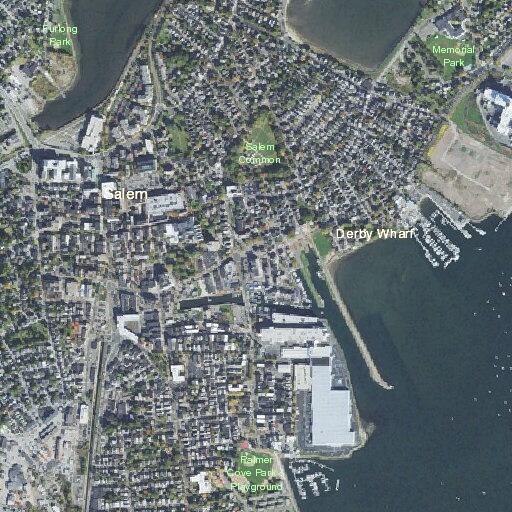 Woman with severe leg pain near Cedar Street in Salem