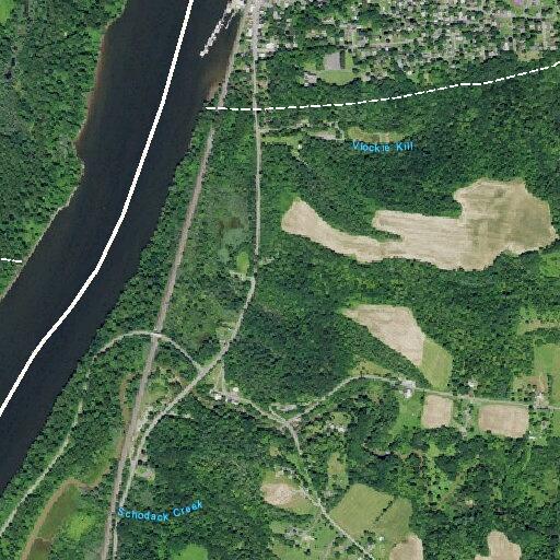 Teen male having seizure near River Road driveway