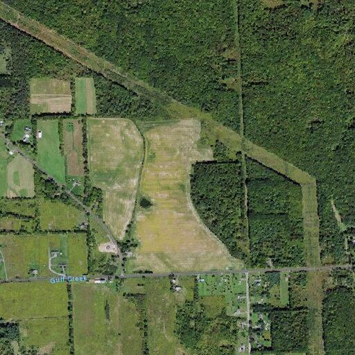 81-year-old man falls, sustains head injury in Freeville