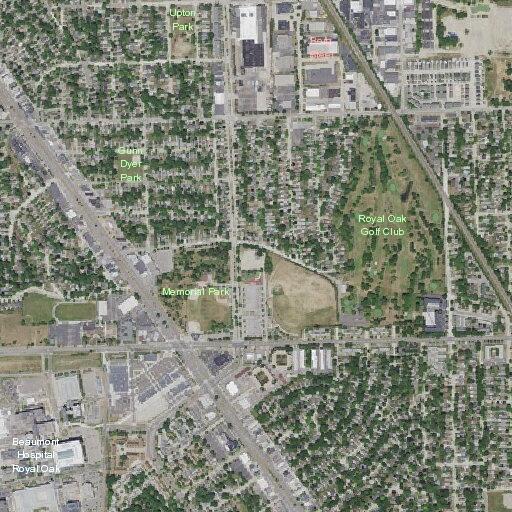 Older woman falls and hits head at 13 Mile Road