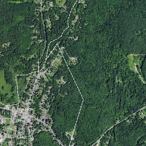 98-year-old female fallen near Elm Street area