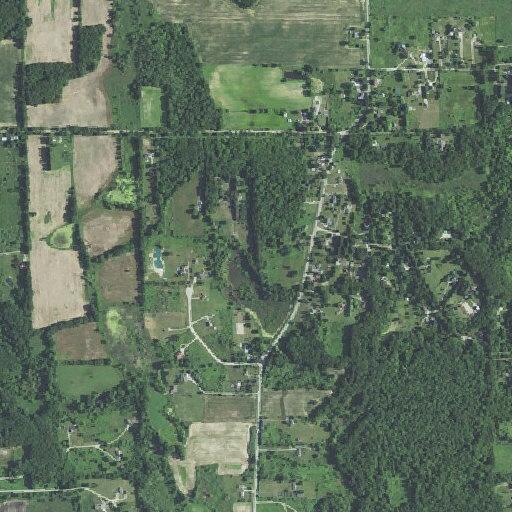 Individual with psychiatric issues reported near Bull Run Road