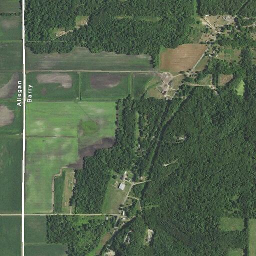 Woman faints and clutches chest at 7 Mile Road