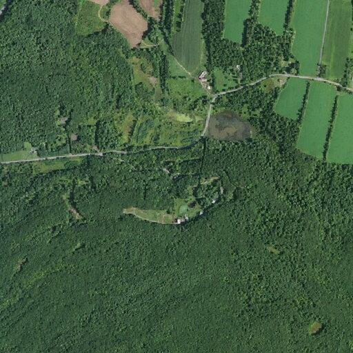 Noise complaint over large party at rural farm