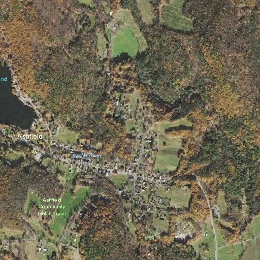 79-year-old male with hip and toe injuries in Ashfield