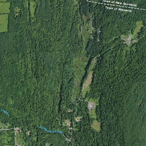 Tree blocking entire road at County Route 312