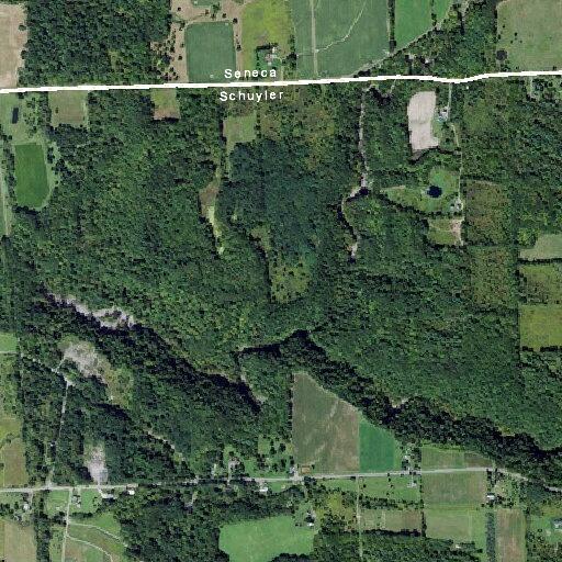 84-year-old male falls near Lake Street in Hector