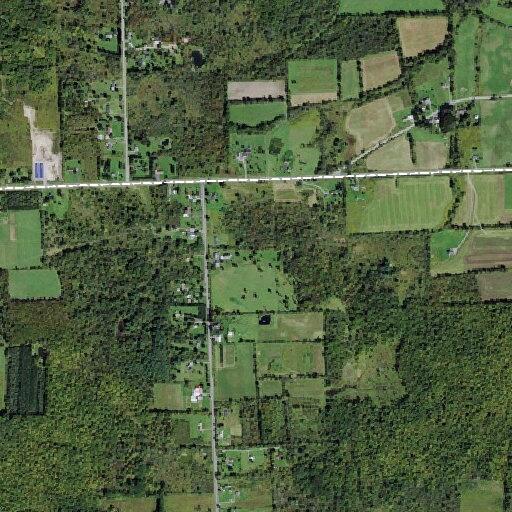 77-year-old female falls near roadway in Freeville