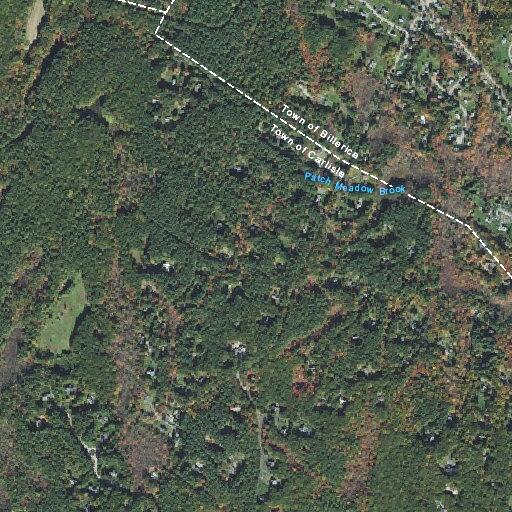 Person having allergic reaction at Twin Beach Road