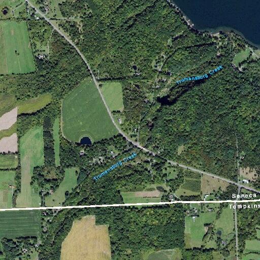 70-year-old woman fainting on Frontenac Road