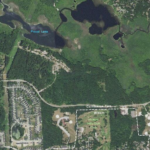 Elderly man fell but not injured at Orland Road