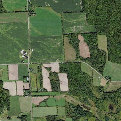 Man found fallen near Cobb Street in Groton