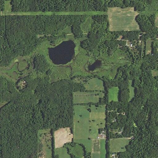 Neighbor’s livestock damaging yard and property