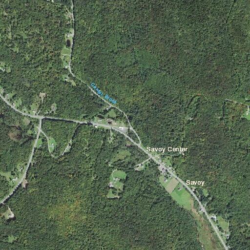 Elderly hiker missing in woods near Savoy