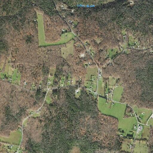 Search for missing 88-year-old man near Loop Road