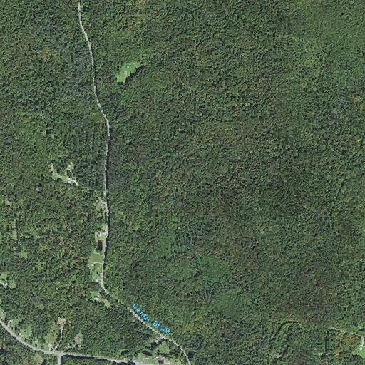 Complaint about loud dirt bike on Center Road