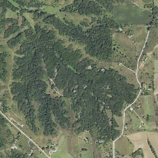 Elderly man weak and feverish near Timberlane Drive