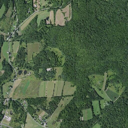 79-year-old female sick and unresponsive at Ashcraft Rd