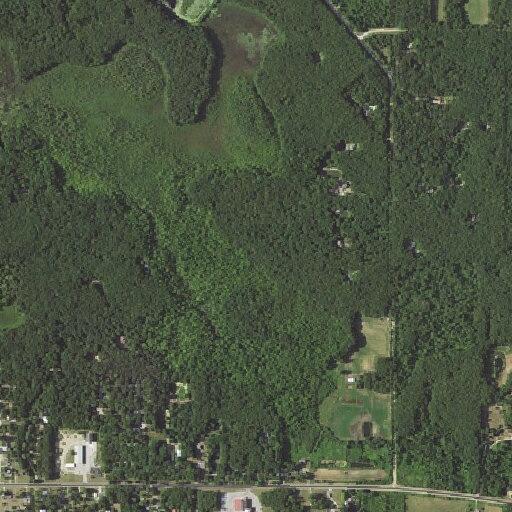 Woman has seizure with labored breathing in Fennville