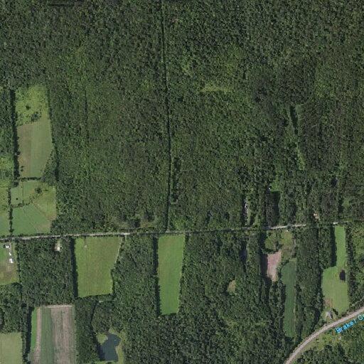 Woman with back pain near center road in south plymouth