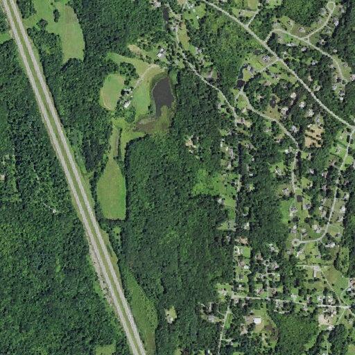 Bear spotted near home on Elliott Road