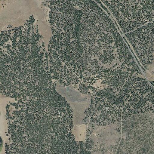 Elderly man found confused at Williamson River Road