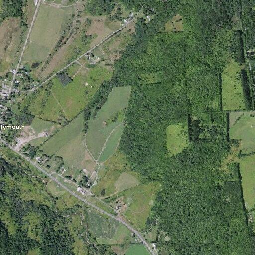 Car hits deer on County Road 16 in Plymouth