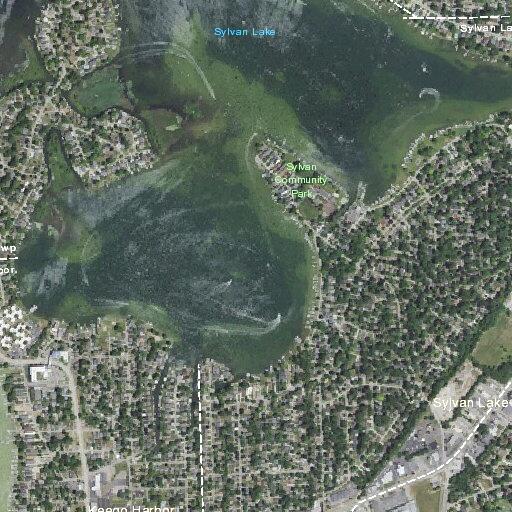 41-year-old male drank chemicals at Woodland Ave