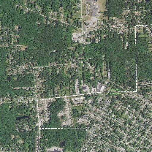 Welfare check requested near Summer Street, Algonac
