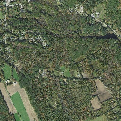 Loose dog reported on Willard Road in Ashburnham