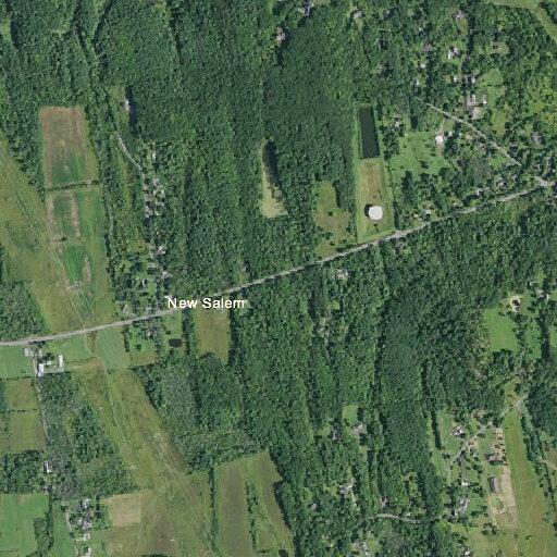 Rabid raccoon reported near pond on Sumac Mountain Lane